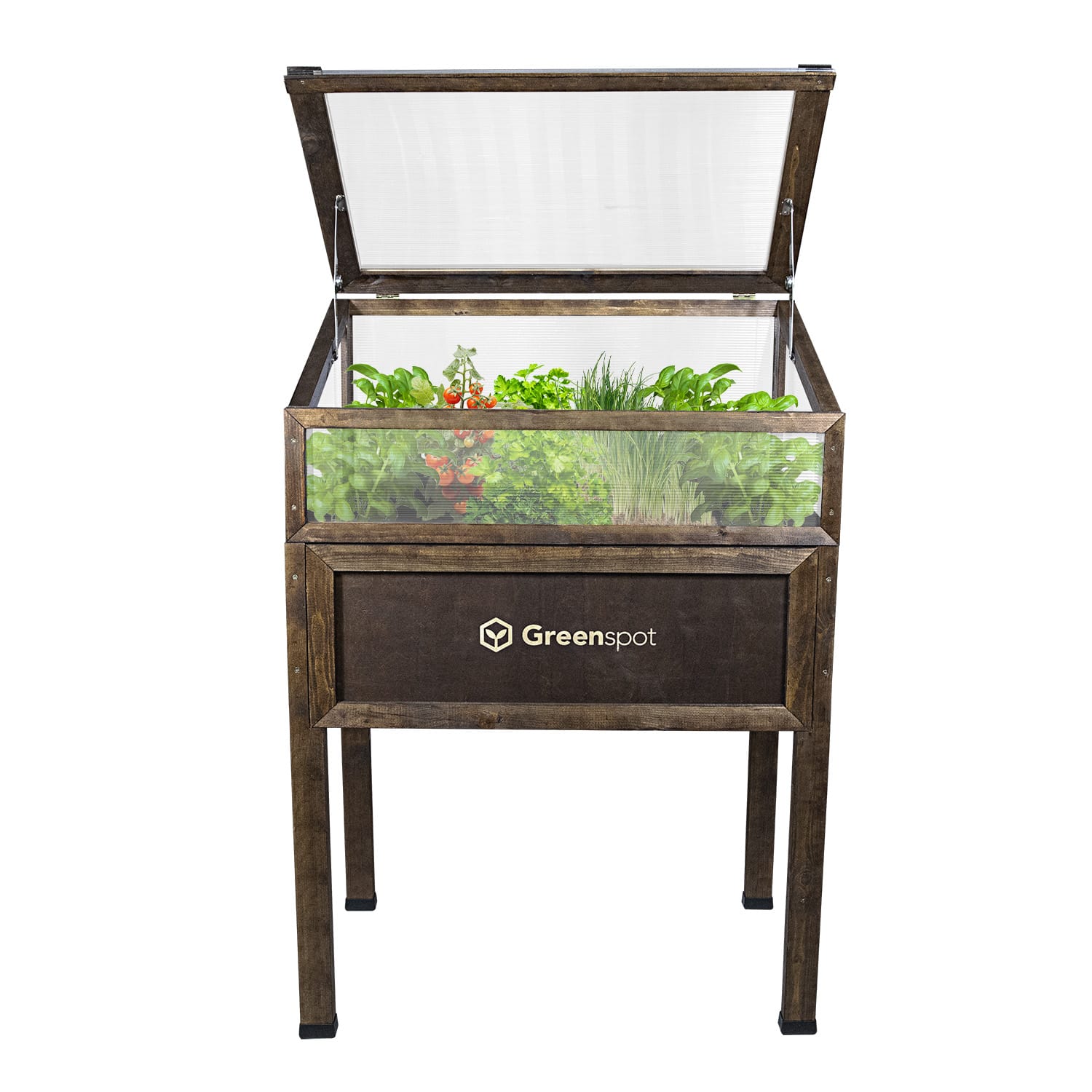 Vintage Mini Greenhouse