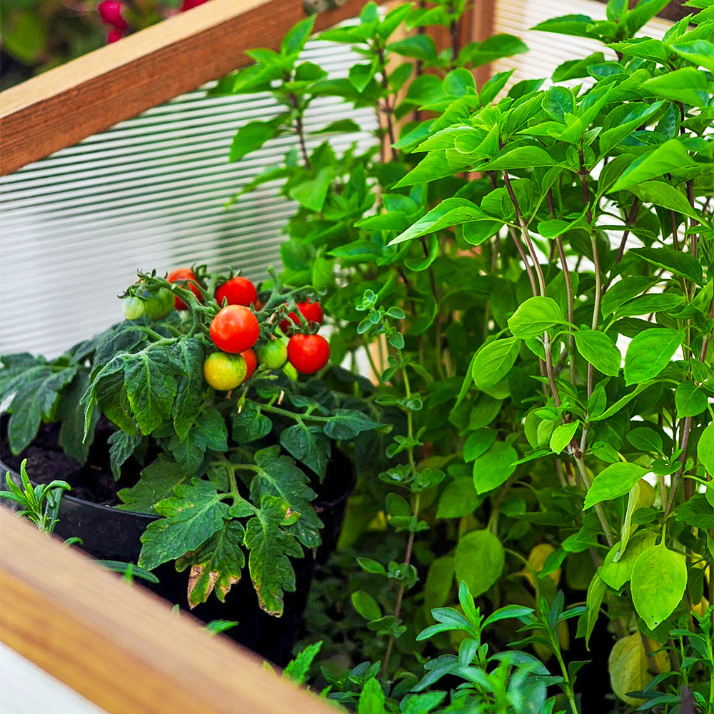 Produkcja w zgodzie z naturą